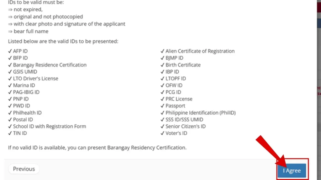 National Police Clearance terms & conditions