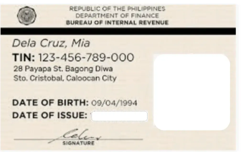 TIN ID Online 3 TIN-ID-PNP